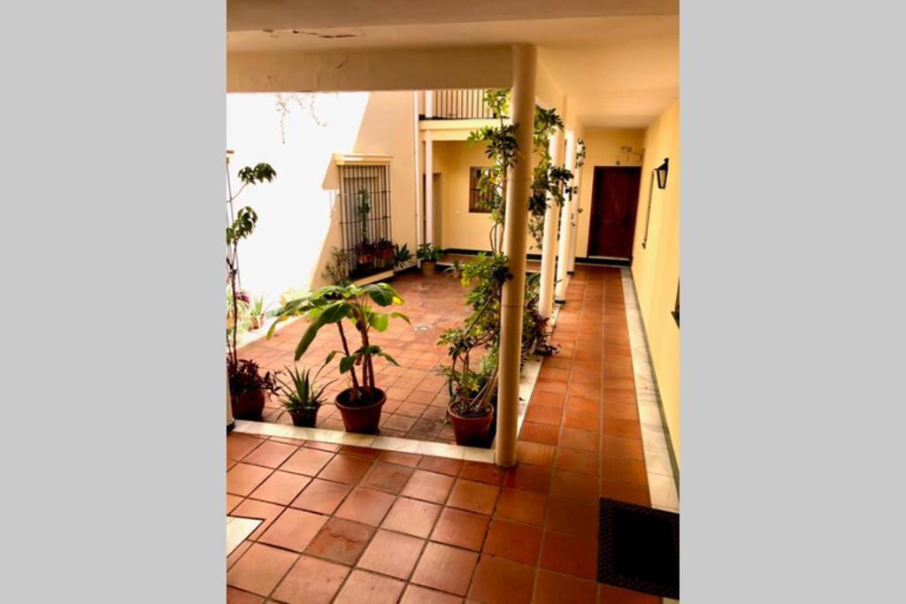 Gatu Villa Palma, Aire Acc Y Confort En El Centro Historico, " Preferente Mayores De 25 Anos Y Familias " El Puerto de Santa María Exterior foto